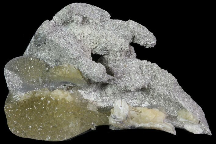 Partial Crystal Filled Fossil Whelk - Rucks Pit, FL #69065